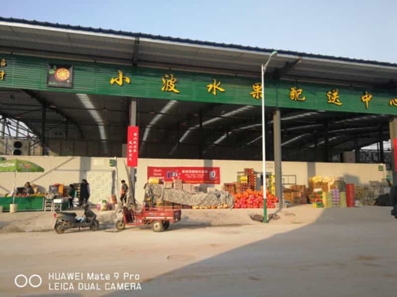 武陟（zhì）精品水果、香蕉庫（kù）